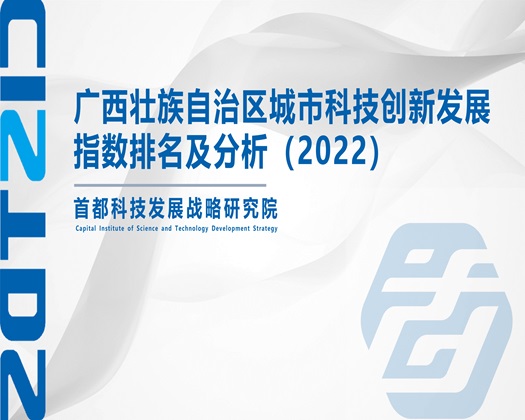 操东北老肥婆【成果发布】广西壮族自治区城市科技创新发展指数排名及分析（2022）